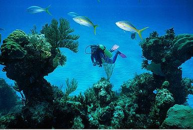 《黑神话：悟空》幕后演员曝光 蜘蛛精大姐AI生成